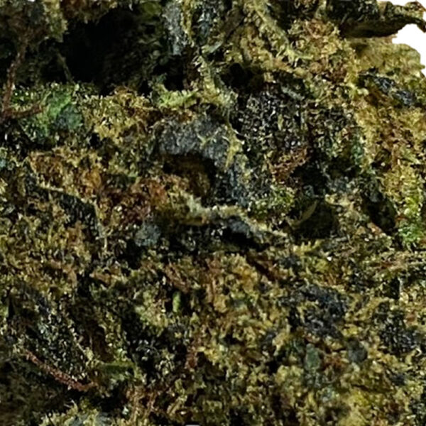 ak47_thv_n10_zoom ak47_thv_n10