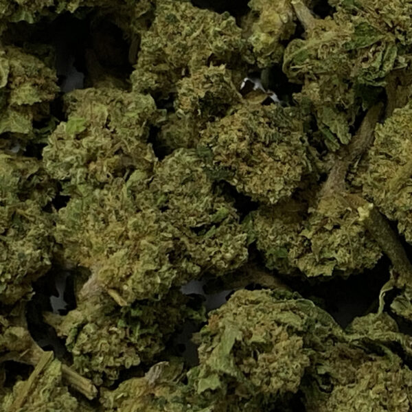 candy_small_bud_cbd_gh_premium