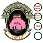 critical_small_buds_cbd_greenhouse_logo