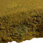 gorilla_glue_dry_hash_hct