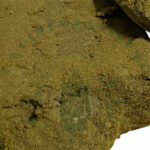 jack_herer_dry_hash_hct