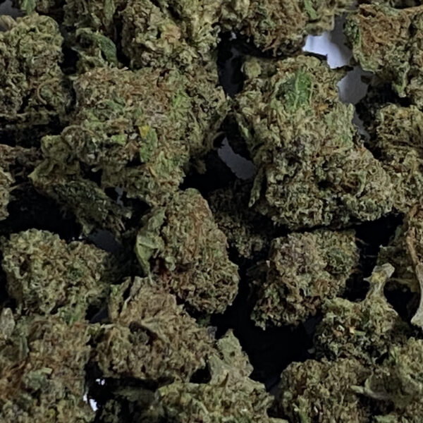 lemon_small_bud_cbd_greenhouse_zoom lemon_small_bud_cbd_greenhouse