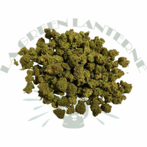 small_bud_bubble_gum_cbd_greenhouse