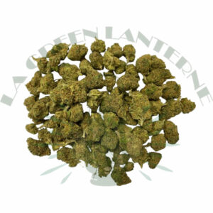 small_buds_csa small_buds_csa