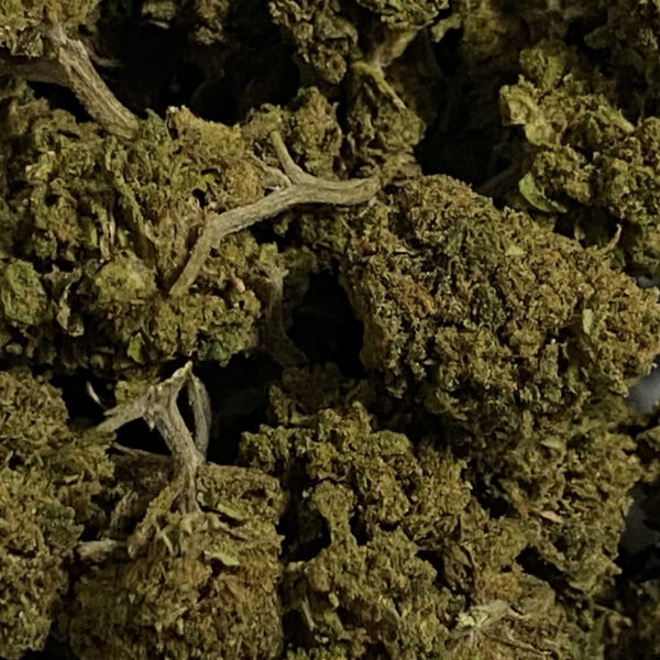 strawberry_small_bud_cbd_greenhouse_zoom strawberry_small_bud_cbd_greenhouse