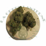 bomb_cyclone_cbd