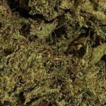 bomb_cyclone_cbd
