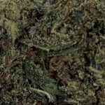 bubba_kush_n_10