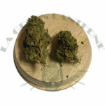 caribbean_mist_cbd