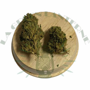 caribbean_mist_cbd