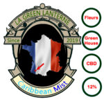 caribbean_mist_logo