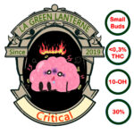 critical_sb_oh_logo