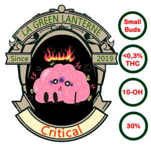 critical_sb_oh_logo
