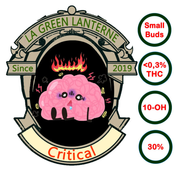 critical_sb_oh_logo