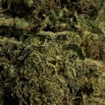 goat_butter_cbd