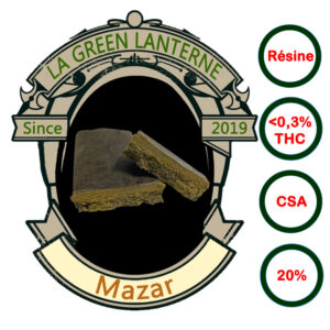 mazar_csa_logo