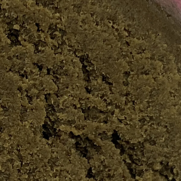 piatella_thv_n_10++