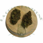 strawberry_fritter_cbd