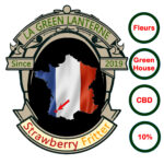 strawberry_fritter_logo