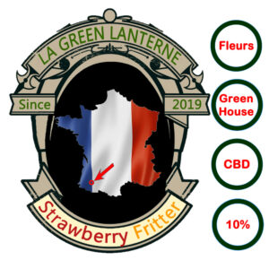 strawberry_fritter_logo