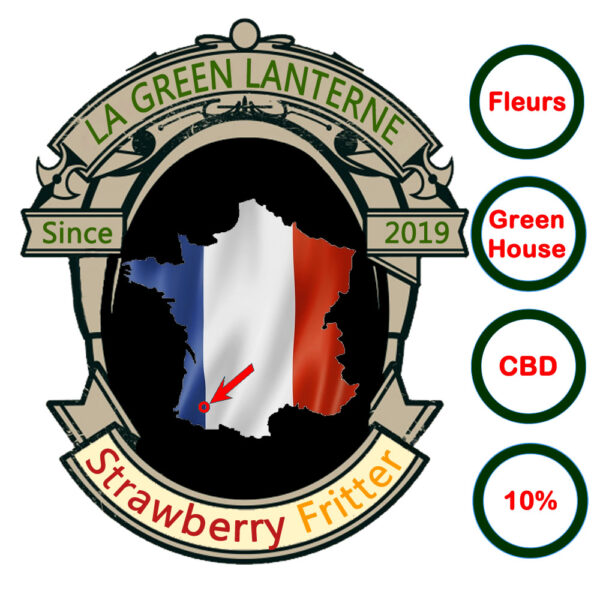 strawberry_fritter_logo