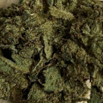strawberry_tsunami_cbd