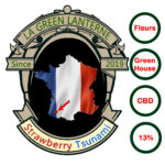 strawberry_tsunami_logo