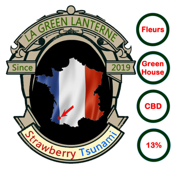 strawberry_tsunami_logo