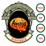 amnesia_cbdx_logo